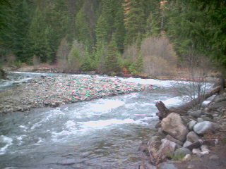 American River
